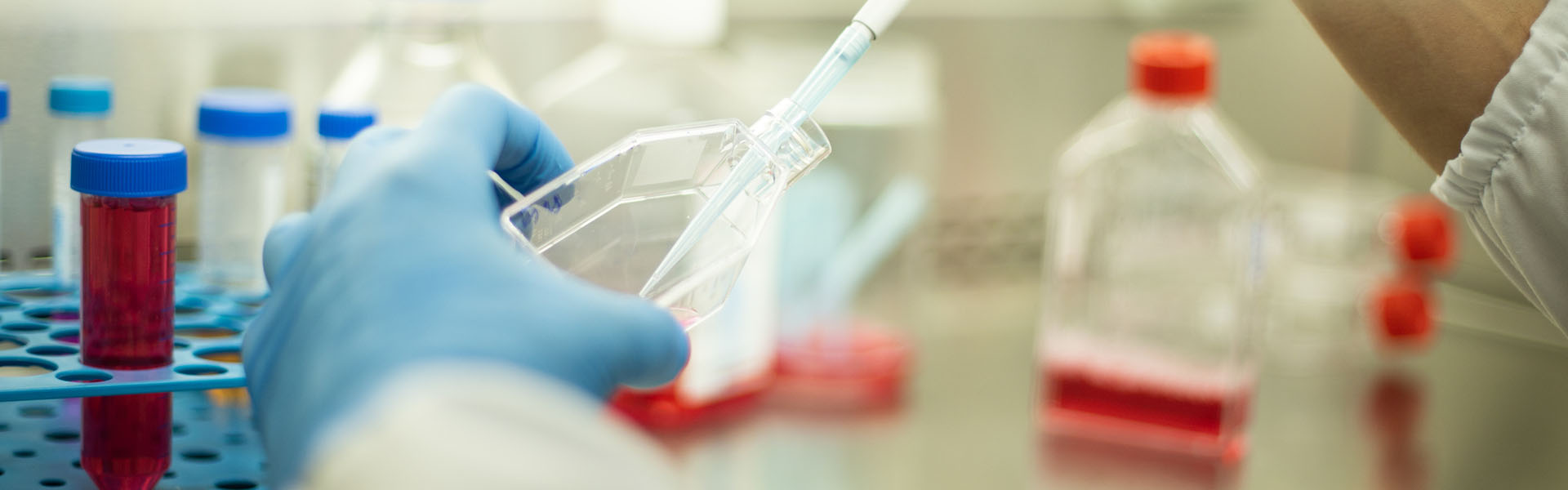 Cell Culture Research